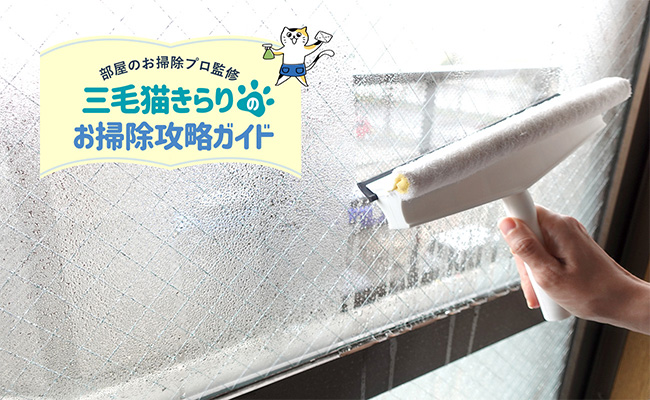 窓の結露対策、どうすればよい？カビの予防方法もご紹介