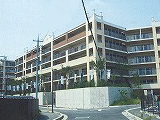 全景