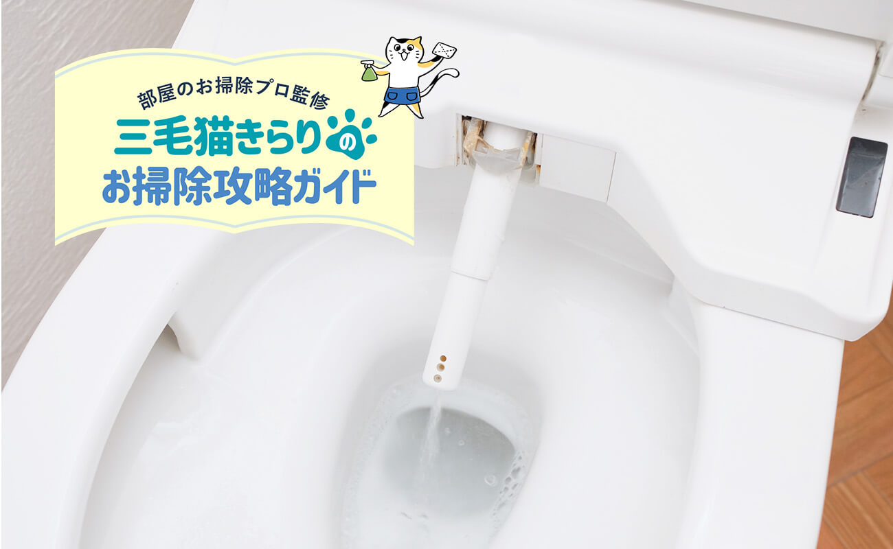 トイレ ノズル 掃除