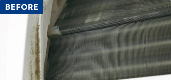 BEFORE 本体内部（熱交換機部分）