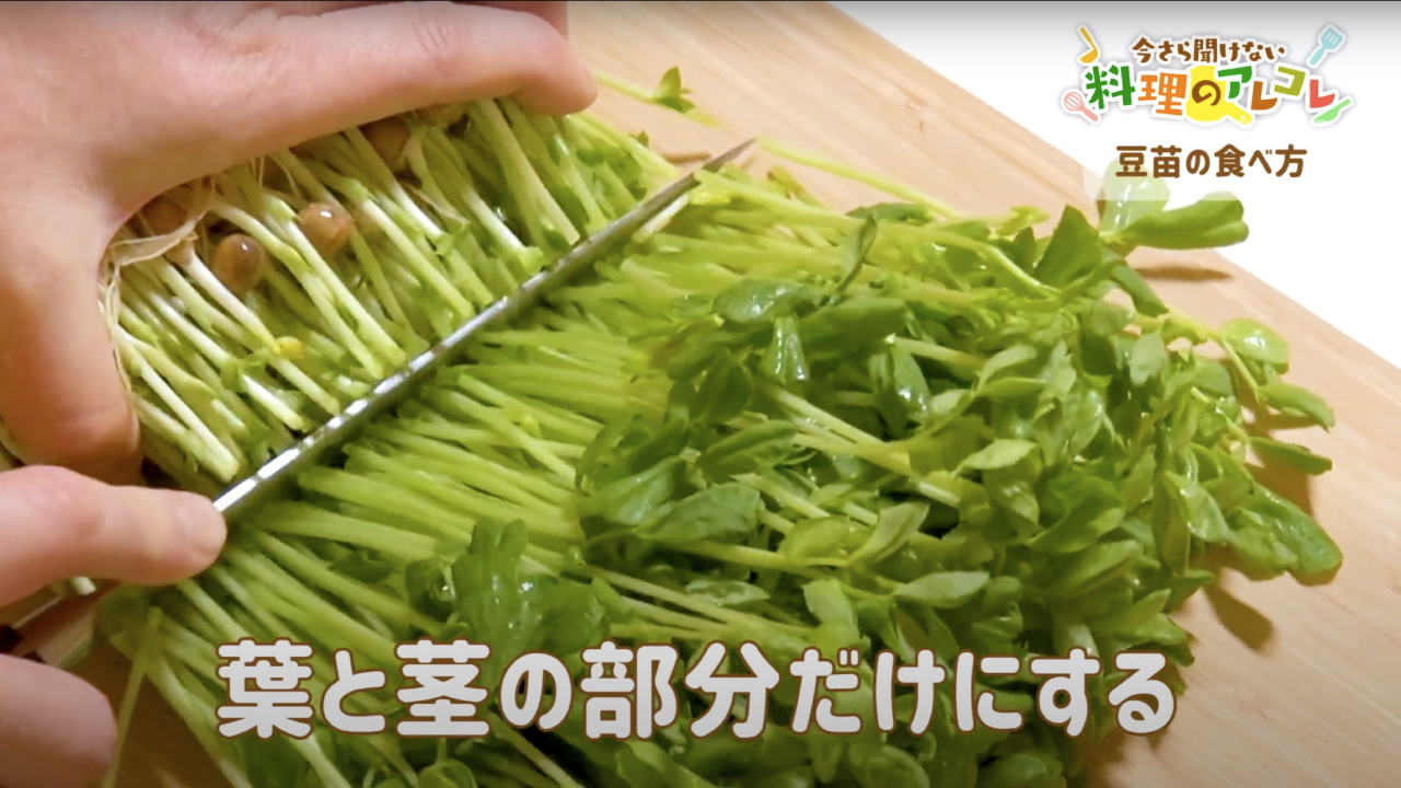 豆 苗 食べ 方