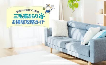 ソファの汚れの落とし方は？シミの取り方から素材ごとの掃除方法まで解説！