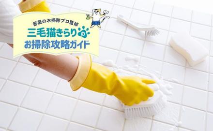 赤カビを取る効果的な掃除方法とは？発生の原因から簡単な予防方法まで解説