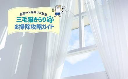 カーテンのカビ取り方法を解説！発生の原因や予防策も併せてご紹介