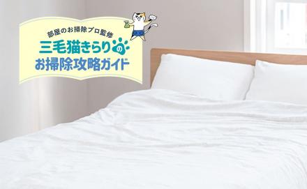 マットレスのカビを除菌する方法は？カビの原因から予防法まで解説