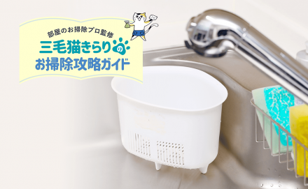 コバエの発生源はどこ？原因や発生場所から予防方法までわかりやすく解説