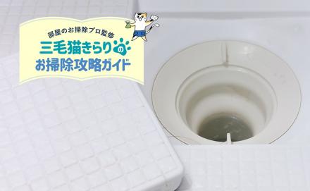お風呂の排水口が臭い原因は？排水口の構造から対処方法や予防方法についても解説