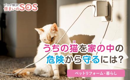 かわいくてたまらないわが家の猫。家の中の危険を防ぐ安全対策とは？