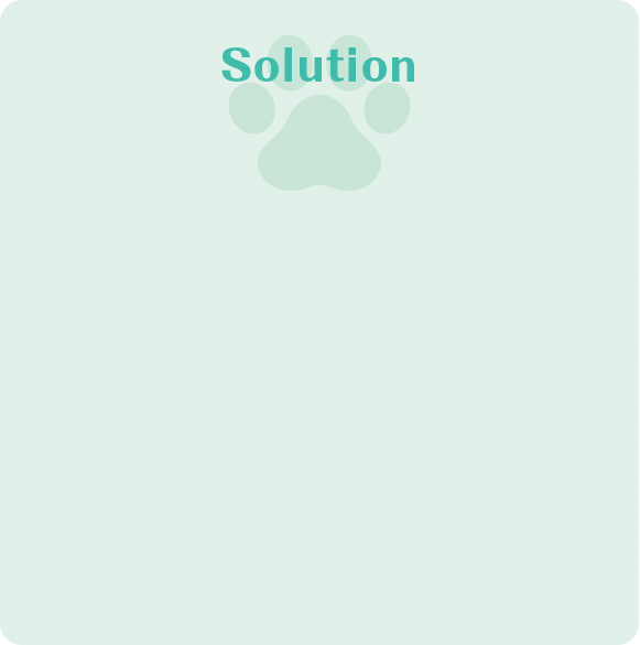 solution