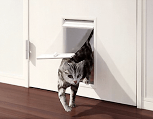 室内用ペットドアから出る猫
