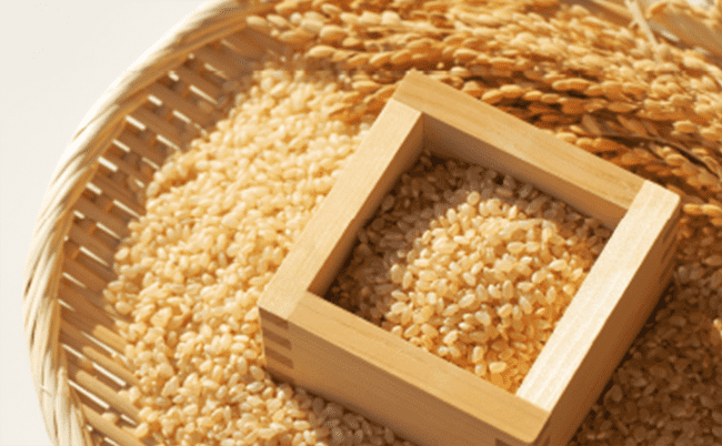 まぼろしのお米『たなかみ米』～稲とアイガモの成長レポート～の画像