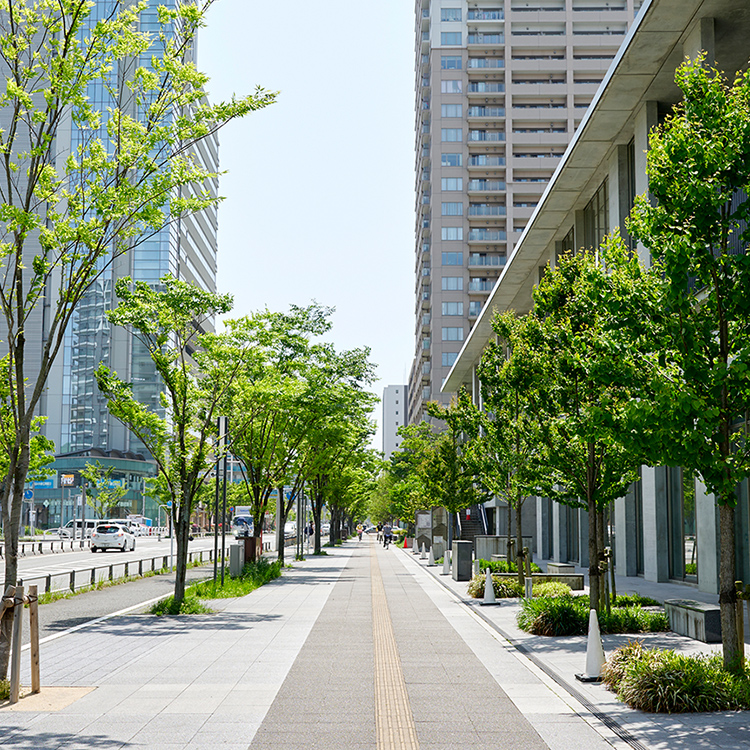 現地周辺イメージ