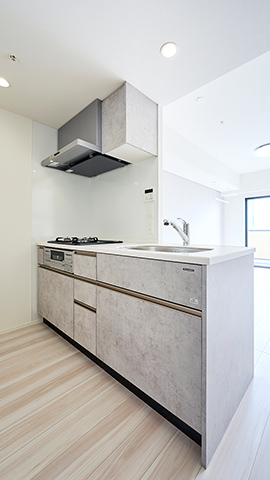 1LDK（1505号室） 参考写真