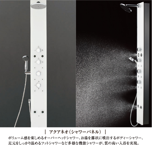 ブランシエスタ白山 サニタリーイメージ