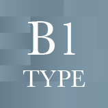 B1 type