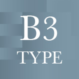 B3 type