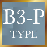 B3-P type