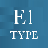 E1 type