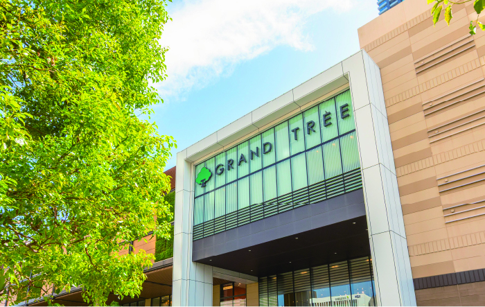 グランツリー武蔵小杉 画像