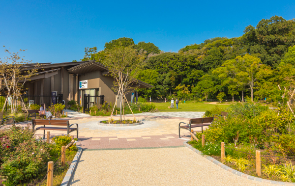 田園調布せせらぎ公園 画像