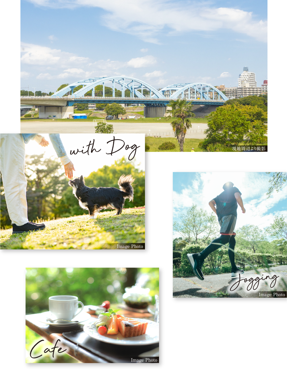 with dog cafe Jogging