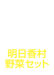 Goods3 明日香村野菜セット