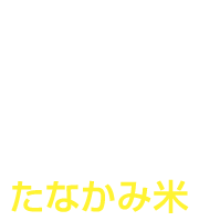 Goods4 たなかみ米
