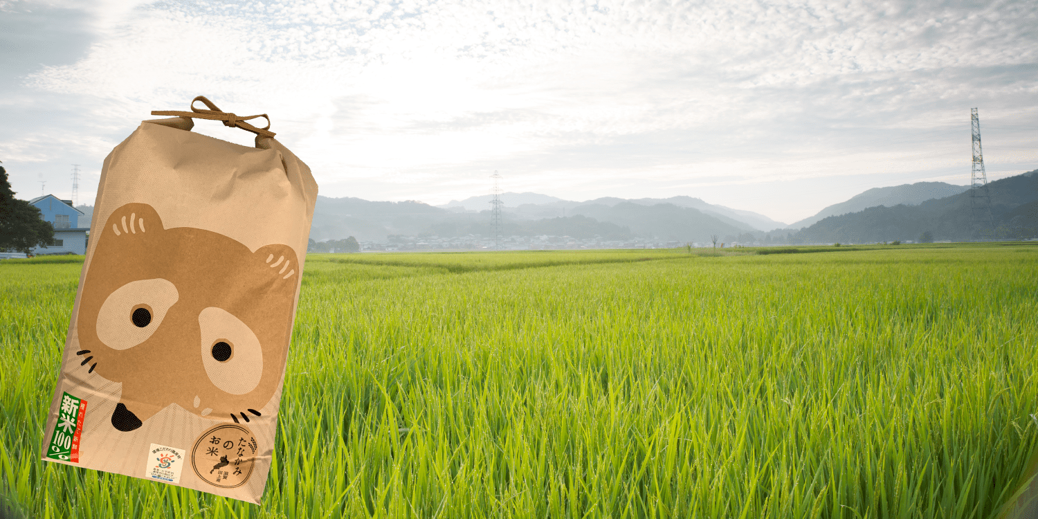 たなかみ米
