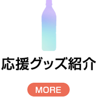 応援グッズ紹介