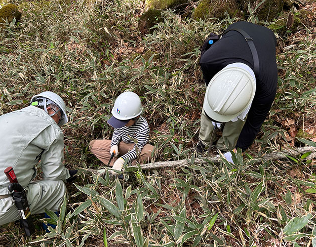 An activity in progress