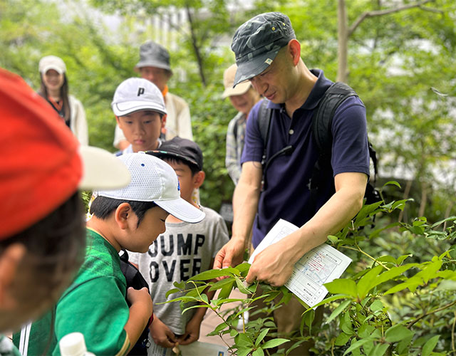 Biotope observation