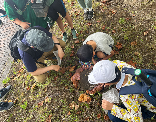 A pathway leading to Tama Central Park