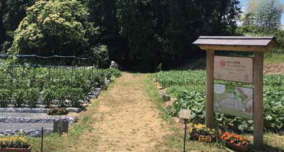 Haseko Asuka Village Community Farm
