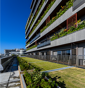Rooftop greening and balcony planters