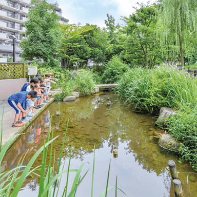 Protecting the precious environment