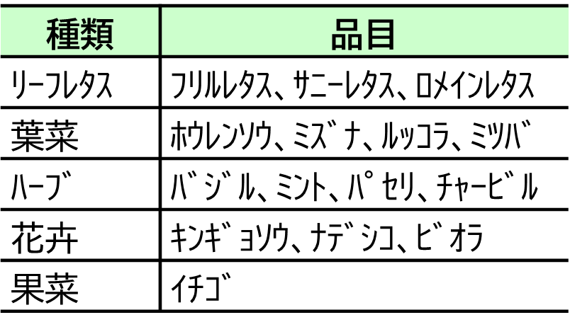 20261028_8