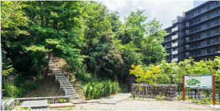 橋本マンションSP版