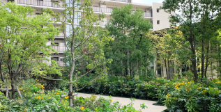 中林マンションSP版