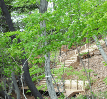 鳥や昆虫、草花をゆっくりと楽しめる環境をつくりました。