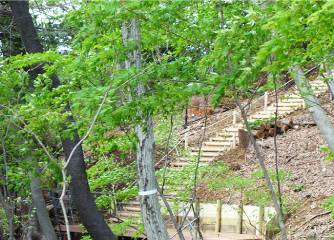 鳥や昆虫、草花をゆっくりと楽しめる環境をつくりました。