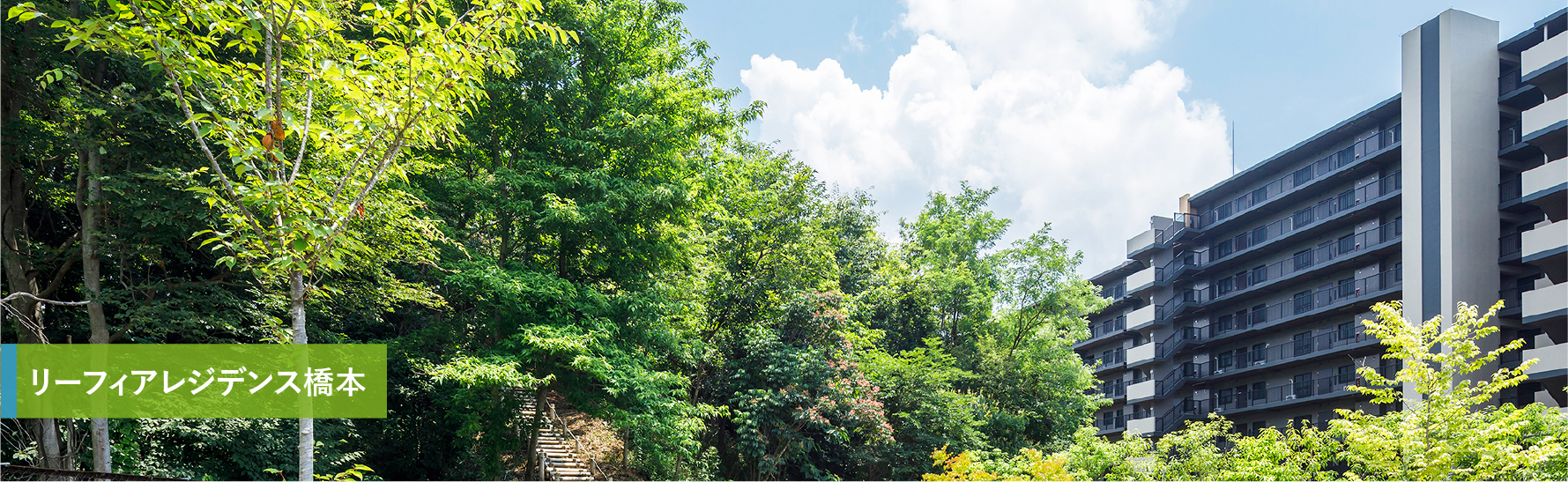 リーフィアレジデンス橋本完成予定CG