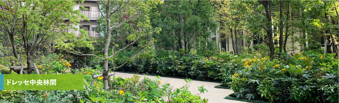 ドレッセ中央林間