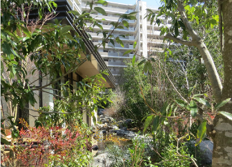 生態系を考慮し地域の植生を反映した緑地を整備