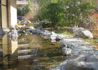 いきものの生息環境づくりに取り組みました。