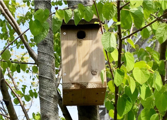 「バタフライガーデン」は、蝶が好む植物を選んで植栽