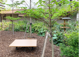 「どんぐりの森」にはウッドチップを撒き、雨水の有効利用による水の循環にも配慮