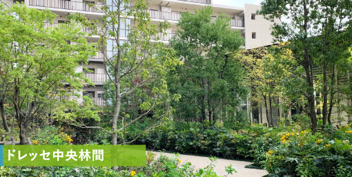 ドレッセ中央林間
