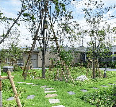 地域環境と調和する緑地づくりに努めました。