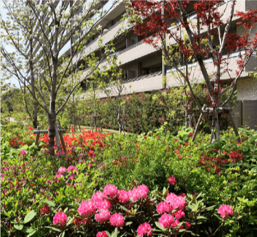 敷地の1/4以上に72種、30,000本を植栽し、緑地として確保