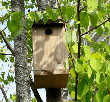 「バタフライガーデン」は、蝶が好む植物を選んで植栽